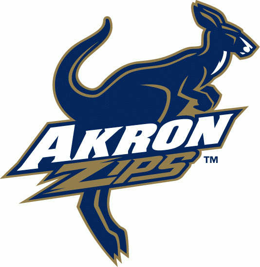 Akron Zips 2002-2007 Primary Logo custom vinyl decal